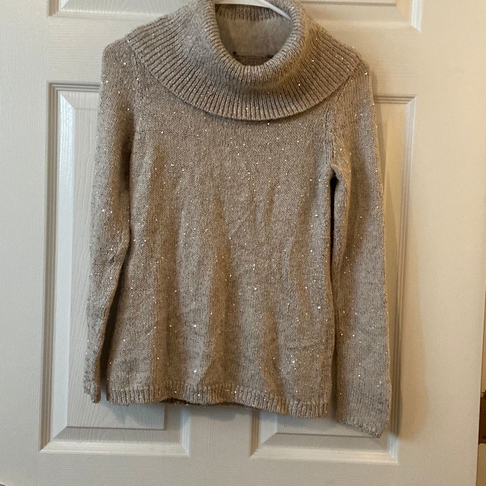 White House Black Market Turtle Neck Sweater